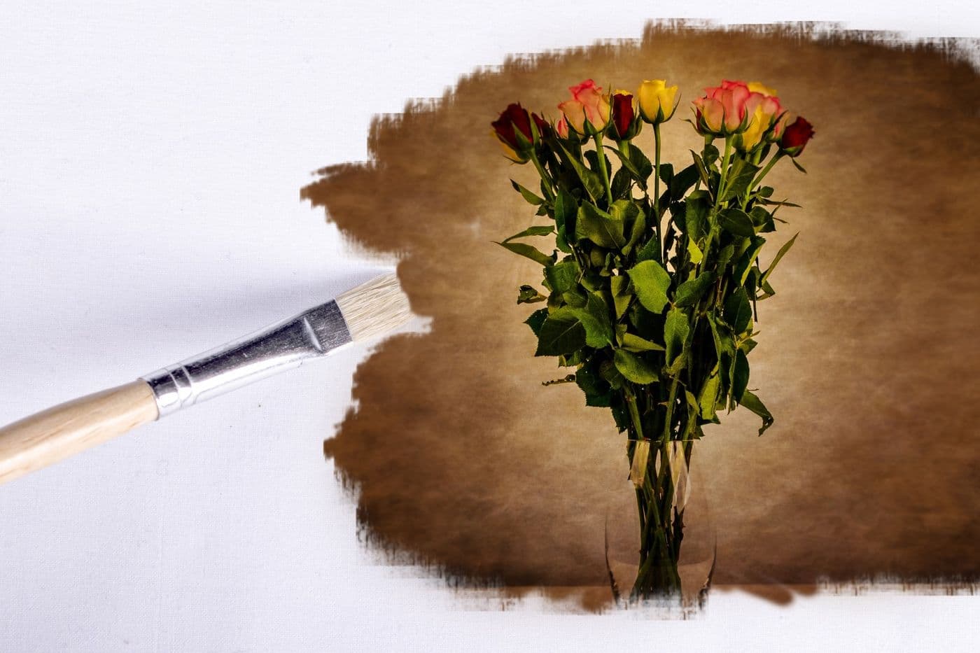 Brand identity and campaign creative in progress