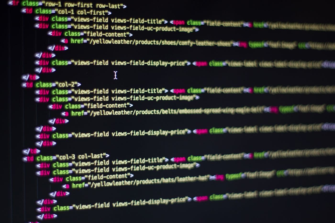 Next.js web application development with modern React interface